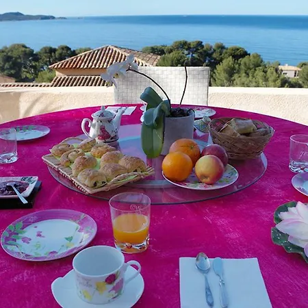 Bellevue Bed and breakfast